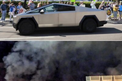 Tesla plunged into crisis after Elon Musk dives into politics. Tesla’s sales plummet in Europe, deliveries from China drop, while backlash erupts across many parts of the world.