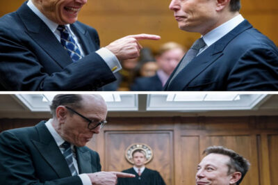 The lawyer thought Elon was just another ‘rich guy’ in court – until Musk dropped legal knowledge so sharp it left the entire room speechless! Watch the moment arrogance met its match.