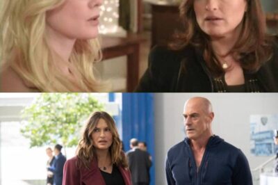 Law and Order SVU True Story Cases That Shocked Viewers