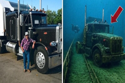 Truck Driver Vanished in 1992 — 20 Years Later, Divers Make a Chilling Discovery…