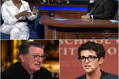 MEDIA EARTHQUAKE : ‘Rachel Maddow SECRETLY Launches a Bold New Newsroom to Bypass Media Censorship — Joined by Stephen Colbert and Joy Reid in a Shocking Alliance That Could Redefine Independent Journalism, Spark Political Firestorms, and Leave MSNBC Facing the Biggest Crisis in Its History!