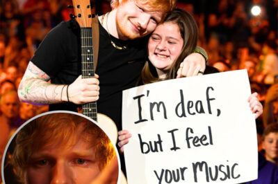 Ed Sheeran Stops Amsterdam Show – Sings and Signs ‘Perfect’ for Deaf Fan as Entire Arena Falls Silent Before Joining in a Lullaby of Love and Tears!