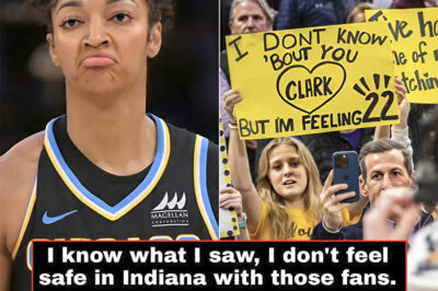 “I know what I saw, I don’t feel safe in Indiana with those fans.” – Angel Reese has spoken. The WNBA might have closed their investigation, but Angel Reese knows what she experienced. After alleged racist remarks from Caitlin Clark fans affected her game.