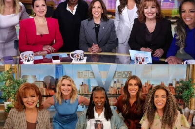 ABC’s ‘The View’ could face investigation probe, FCC chairman suggests