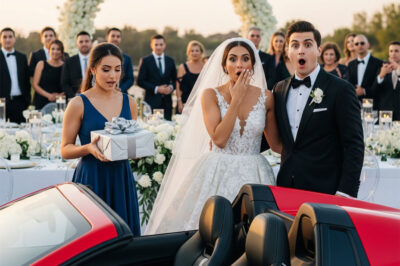 He Locked His Wife in a Mental Hospital to Marry His Secretary—But on His Wedding Day, She Returned in a Supercar With a Shocking Gift…