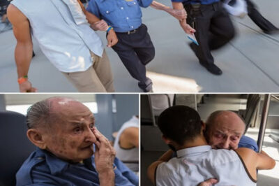 Stephen Curry’s Ordinary Day Turns Shocking — A Frail Stranger’s Heartbreaking Truth Leaves Him Frozen and Fans in Tears