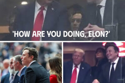 Elon Musk Reveals the Exact Words Exchanged with Donald Trump at Charlie Kirk’s Memorial: A Surprising Path to Reconciliation