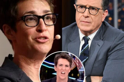 BREAKING: Rachel Maddow has quietly launched a brand-new newsroom unlike anything MSNBC ever imagined — a daring project aimed at breaking through media censorship and exposing corruption, free from anyone’s control. And her partners? None other than Stephen Colbert and Joy Reid — together they’ve officially kicked off what many are calling a news revolution. So, what does this mean? In the latest twist shaking the media world, Rachel Maddow — one of MSNBC’s biggest and most respected voices — has teamed up with Colbert and Reid to create a groundbreaking newsroom. This surprising and ambitious step comes after years of the trio ruling primetime on the network…