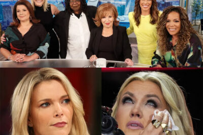 Fans tuning into ABC never saw this coming—one of daytime TV’s most iconic staples, *The View*, has been pulled off the air in a decision that has stunned viewers and industry insiders alike.