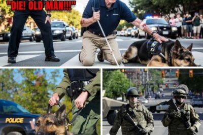 Police Attack Blind Veteran and His K9 Service Dog—Minutes Later, Military Convoy Sealed the Street! The afternoon traffic rolled lazily down Maple Street when the shouting began. At first, passersby thought it was just another argument. But then they saw him — Thomas Briggs, a blind veteran in his late sixties, clutching the harness of his loyal service dog, Ranger. Two police officers had stopped him on the sidewalk. Voices rose. One officer shoved him. Ranger barked, pulling to shield his handler, but the blows kept coming. People gasped. Phones came out. The scene turned chaotic as the decorated veteran stumbled, trying to protect the only companion who had guided him through the darkness since the war. And then — the sound. Engines. Heavy, rumbling, unmistakable. A military convoy appeared at the end of the street: Humvees, armored trucks, the kind of force you’d never expect in a quiet American town. They rolled in fast, sealing off the block. Within minutes, every head turned — and the officers realized too late who exactly they had laid their hands on.