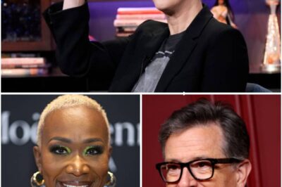 “NO BOSSES. NO SCRIPTS. JUST TRUTH — RACHEL MADDOW’S ROGUE NEWSROOM HAS ARRIVED ” It didn’t come with a press tour. No corporate rollout. No contracts leaked to the trades. It came quietly… then hit like a bomb. Maddow, Colbert, and Reid have launched a news experiment unlike anything we’ve seen — and it’s already shaking the foundations of cable media. Their promise? Honest reporting. Satire with teeth. Investigations no one else will touch. And most of all: a direct connection with viewers — not shareholders.