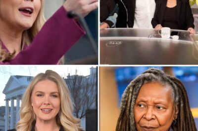 Caroline Leavitt TAKES DOWN The View with $800M Lawsuit: The Shocking Legal Battle That’s Rocking Hollywood!