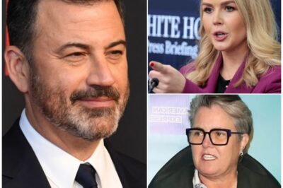 The Reckoning: Inside the Explosive TV Showdown That Exposed a Press Secretary’s Ambitions and Forced a Host into Exile