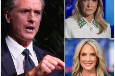 The Fiery Showdown: Inside the Unscripted War of Words Between Dana Perino and Gavin Newsom