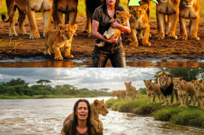 Woman Rescues Drowning Lion Cub—You Won’t Believe the Pride’s Reaction!