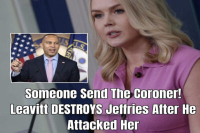 Jeffries and Leavitt Trade Barbs as Government Shutdown Tensions Boil Over