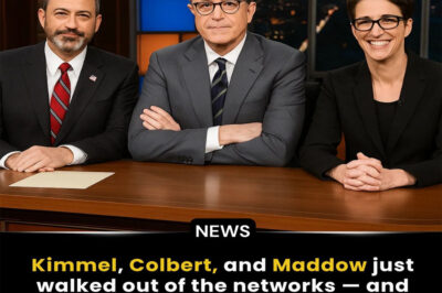 Maddow, Colbert, and Kimmel Shake the Media World With Surprise Independent Newsroom Launch