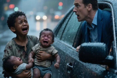 A billionaire saw a boy begging in the rain with twin children, what he discovered made him cry…