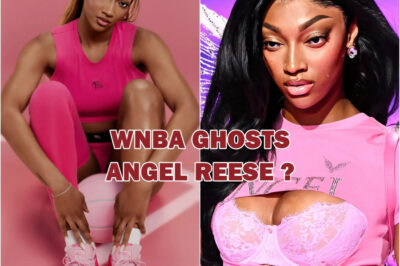 Despite Angel Reese’s growing brand value, all of the top WNBA teams unanimously rejected her in absolute silence. Was this “stupidity” due to her previous statements or some “arrangement” behind the WNBA leadership…
