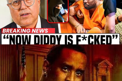 Diddy’s $50 Million Bid Sunk: The Cryptic ‘Pizza Boxes’ Call and ‘Horrific’ New Evidence That Rocked His Bail Hearing