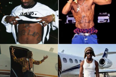 “MAKAVELI RETURNS!” — WORLD IN SHOCK AS TUPAC SHAKUR REPORTEDLY LANDS IN AFRICA AFTER 29 YEARS: WITNESSES SAY “HE’S ALIVE — AND HE’S AT PEACE”