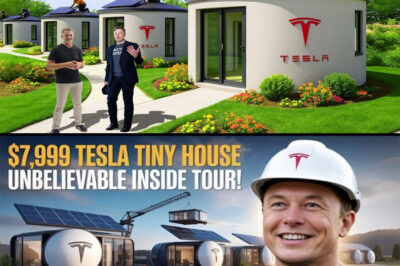 BREAKING: Elon Musk’s NEW $7,999 Tesla Tiny House Finally LAUNCHES in the U.S. — FREE Land and ZERO Taxes?