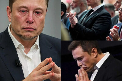 Elon Musk Breaks His Silence: A Confession That Shakes His Legacy