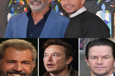 Hollywood Shake-Up: Mel Gibson and Mark Wahlberg Join Forces with Elon Musk to Launch a $1–$3 Billion “Non-Woke” Film Studio Focused on Traditional Family Values — Is This the Future of Entertainment or a Cultural Flashpoint?…