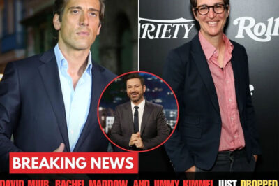 David Muir, Rachel Maddow, and Jimmy Kimmel Just Dropped Bombshells: They Quit the Glamorous Deals to Unveil a Fearless, Unfiltered Newsroom That Will Change Everything.