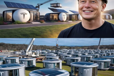 It’s here: the Tesla tiny house has reportedly launched in the U.S., with avant-garde specs, free land offers and zero taxes touted