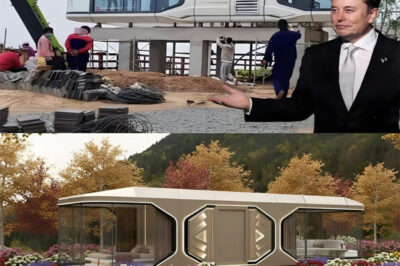 BREAKING: ELON MUSK STUNS THE WORLD WITH $7,999 TESLA TINY HOUSE — FREE LAND, ZERO TAXES, AND A FUTURE REDEFINED