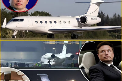 Elon Musk reveals a mind-blowing SpaceX supersonic jet, set to revolutionize how humanity travels through space.