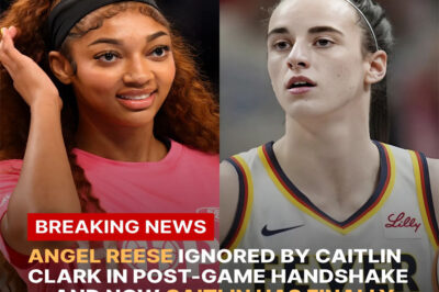 ANGEL REESE IGNORED BY CAITLIN CLARK IN POST-GAME HANDSHAKE — AND NOW CAITLIN HAS FINALLY SPOKEN: THE MOMENT THAT STUNNED THE WNBA, DIVIDED FANS, AND CHANGED EVERYTHING