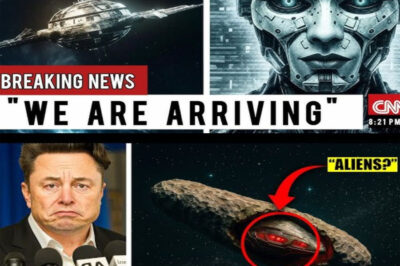 Elon Musk’s Painful Confession: “3I/ATLAS Is Not Humanity’s Salvation… It’s an Alien Spacecraft I Accidentally Summoned from a Dead Galaxy.” He Warns: “We Either Run or Destroy It Before It Reaches Earth!” Meanwhile, the James Webb Telescope Just Revealed a Terrifying Ancient Structure That Defies Everything We Thought We Knew. What the Hell Is Happening?!