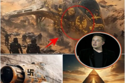 Elon Musk REVEALS SHOCKING TRUTH: “The 1,000-Year-Old Plane in Egypt IS NOT HUMAN!” — and He Claims He Will Restore It Using SpaceX Technology!