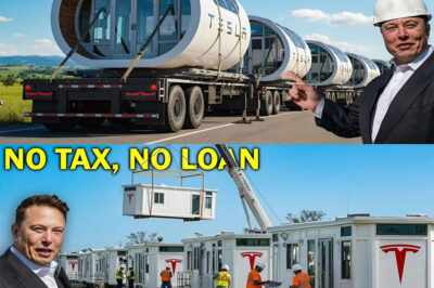 BREAKING: ELON MUSK ANNOUNCES 100 TESLA TINY HOUSES READY TO SHIP — FREE BILLS, ZERO TAXES, AND SURPRISING INTERIORS! The wait is finally over Elon Musk just confirmed the first 100 Tesla Tiny Houses priced at $7,999 are officially shipping out.