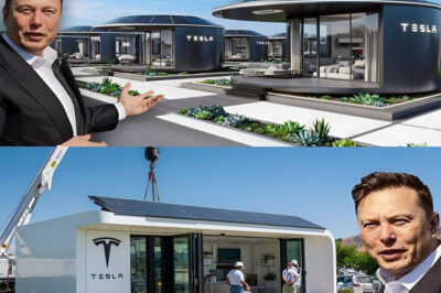 END OF BOXABL: $7,995 TESLA TINY HOUSE REVEALED! BEST FREE LAND DEAL EVER!