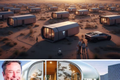 BREAKING: ELON MUSK STUNS THE WORLD WITH $7,999 TESLA TINY HOUSE — FREE LAND, ZERO TAXES, AND A FUTURE REDEFINED.
