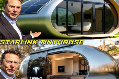 Tesla’s tiny house under $7,999 finally reveals 7 insane off-grid features, and viewers can’t stop talking about the windows alone!