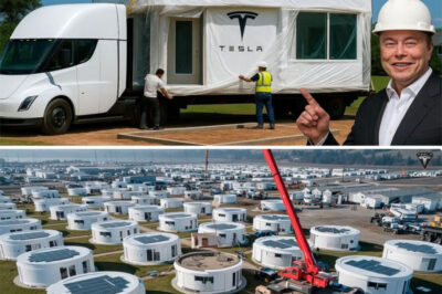 Elon Musk’s $7,999 Tesla Tiny House Finally Arrives — Free Land, Zero Taxes & A Future Without Bills! It’s finally happening! Elon Musk’s $7,999 Tesla Tiny House is being delivered