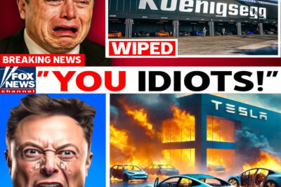 Elon Musk Cries and Resigns Live on TV After Koenigsegg Announces New Engine .