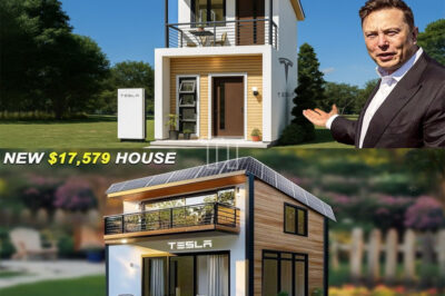 BREAKING: Elon Musk Unveils 2026 Tesla Tiny House — Price and Features Leave Everyone Talking