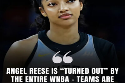 BREAKING NEWS : ANGEL REESE IS “TURNED OUT” BY THE ENTIRE WNBA – TEAMS ARE SYMBOLIZED Note: “THE RISK IS TOO BIG”