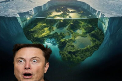 ELON MUSK IS STUNNING: Under Nearly 2 km of Antarctic Ice, Scientists Uncover a 34-Million-Year-Old Hidden World — Ancient Valleys, Underground Rivers, and Mountains from the Gondwana Era. The Discovery Sparks Musk’s Vision of Recreating These Primeval Ecosystems Beyond Earth.