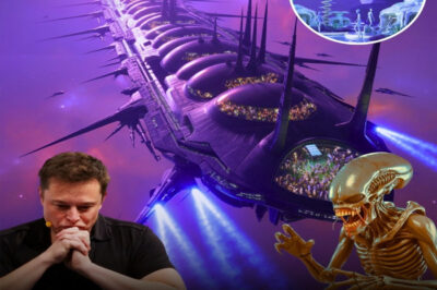 GALACTIC UPHEAVAL!! Elon Musk CONFIRMS 3I/ATLAS Is an Alien Spacecraft from a Dead Galaxy — Signals He Sent 4 Years Ago May Have Summoned It, and Now, in Utter REGRET, Musk Warns: Humanity Is Facing a Dark Cosmic Intelligence Capable of ERASING All Life on Earth!