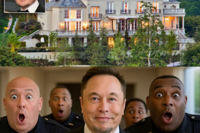 Elon Musk Gets Thrown Out of a Luxury Hotel… So He Buys the Whole Building