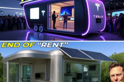 Elon Musk Does It AGAIN — The Tesla Tiny House Is Finally HERE for Just $9,995, and It’s About to Revolutionize How the World Lives!