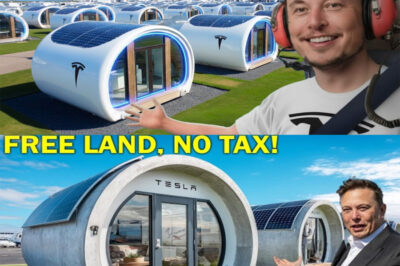 $7,999 Tesla Tiny House Finally Selling! Elon Musk “Free Land & $0 Tax”, Inside COOL!