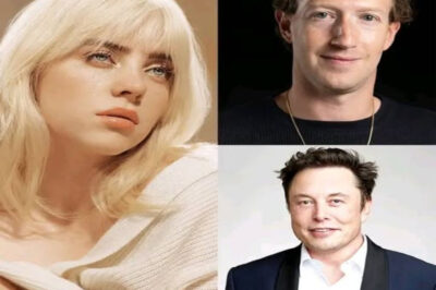 doem Billie Eilish Drops a Truth Bomb on Billionaires at Wall Street Journal Awards