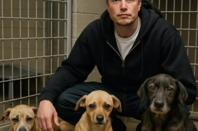 Elon Musk’s Quiet Rescue: The Day He Saved 39 Forgotten Souls